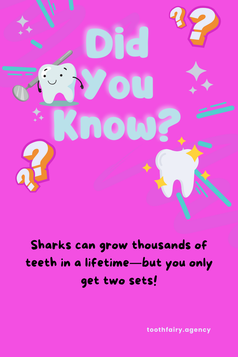 Bright pink graphic with bold text Did You Know? in blue and white. Smiling cartoon teeth, question marks, sparkles, and toothfairy.agency at the bottom create a playful dental-themed #ToothFairyTrivia design.