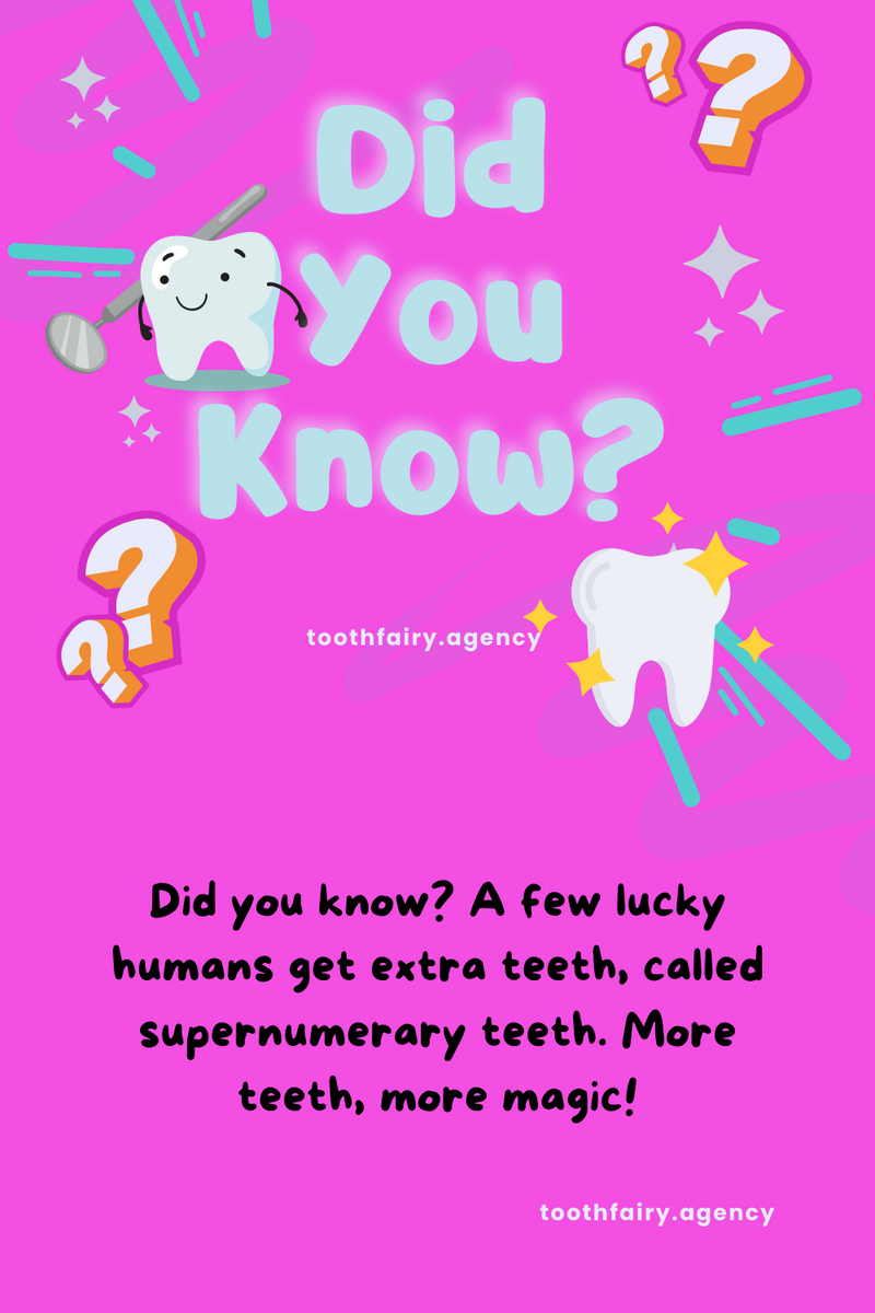 Bright pink graphic with bold text Did You Know? in blue and white. Smiling cartoon teeth, question marks, sparkles, and toothfairy.agency at the bottom create a playful dental-themed #ToothFairyTrivia design.