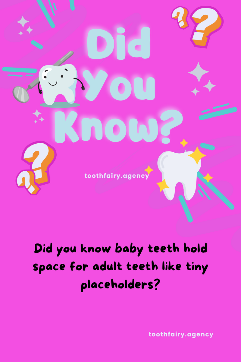 Bright pink graphic with bold text Did You Know? in blue and white. Smiling cartoon teeth, question marks, sparkles, and toothfairy.agency at the bottom create a playful dental-themed #ToothFairyTrivia design.